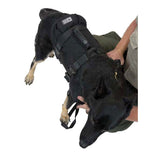 CMC K9 ProSeries Rappel Harness - RescueGear.com
 - 3